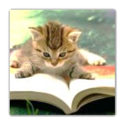 D:\школа\школа2\Cat_CatReadingBook03-150x150.jpg